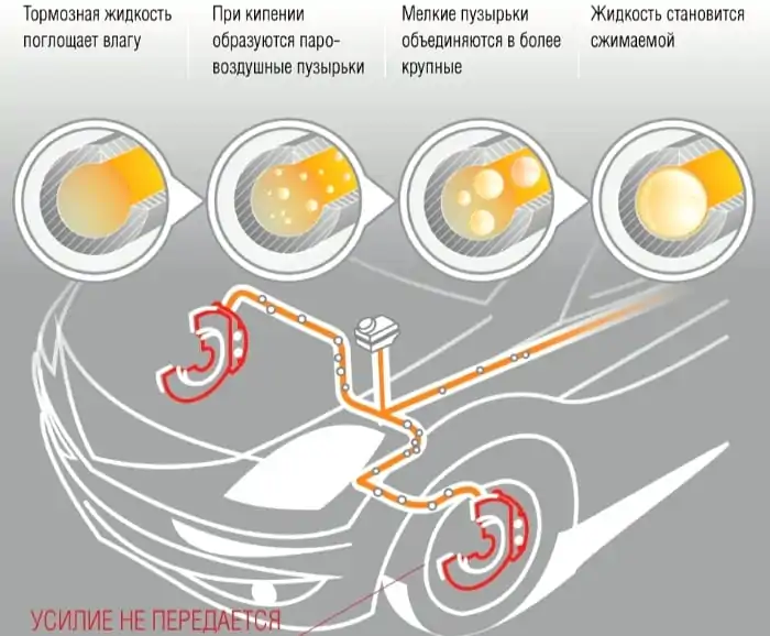 11Gigroskopichnost (1)