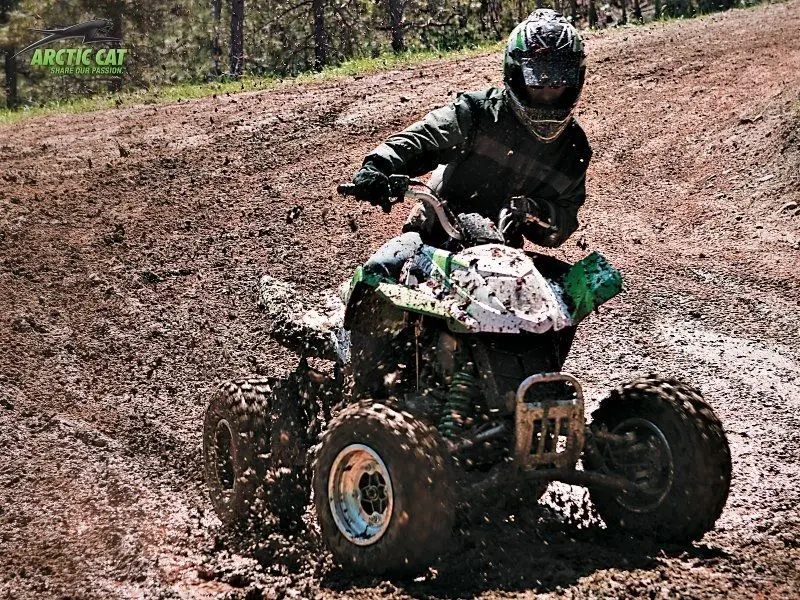 Arctic Cat DVX 3001