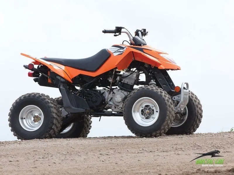Arctic Cat DVX 3002