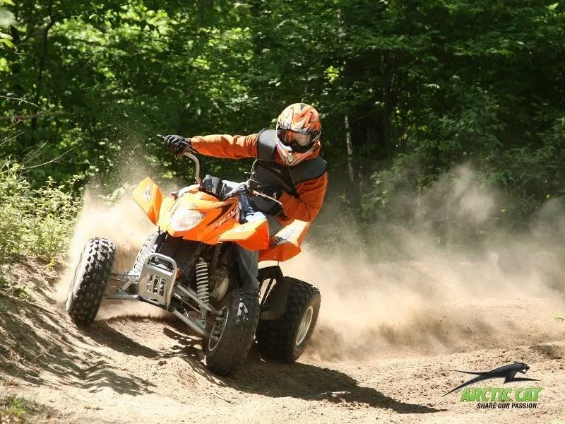 Arctic Cat DVX 3004