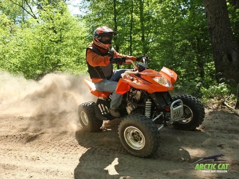 Arctic Cat DVX 3005