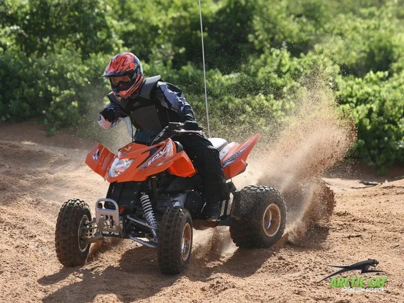 Arctic Cat DVX 3006