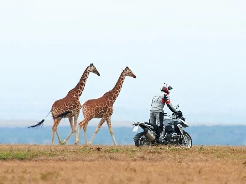 BMW R 1200 GS8