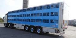 Breve recensione, descrizione. Semirimorchi trasporto bestiame Pezzaioli SBA63 Maialini