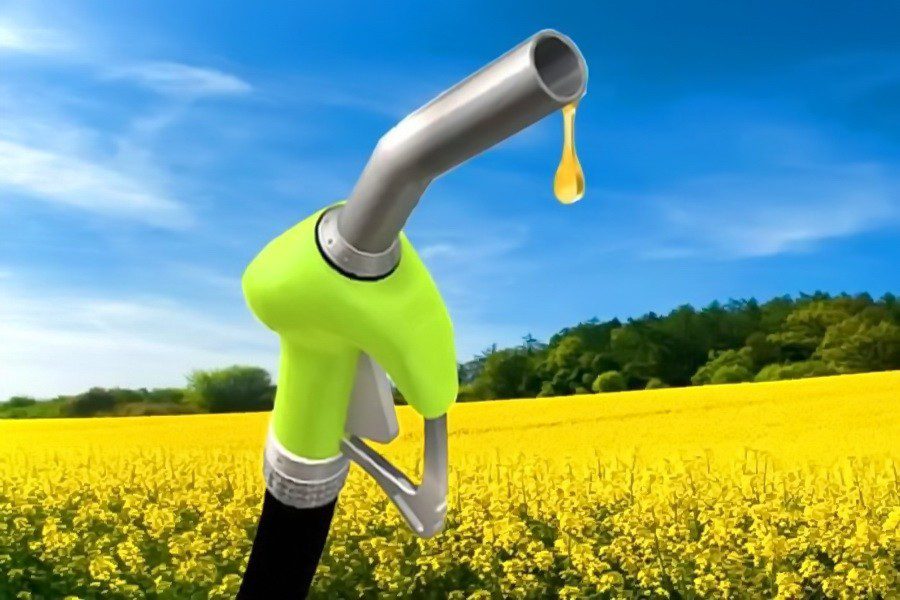 Что такое биодизельное топливо для автомобилей