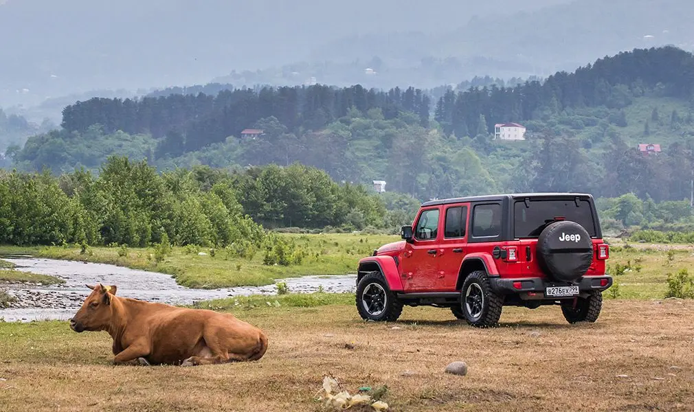 Тест-драйв Jeep Wrangler в Грузии