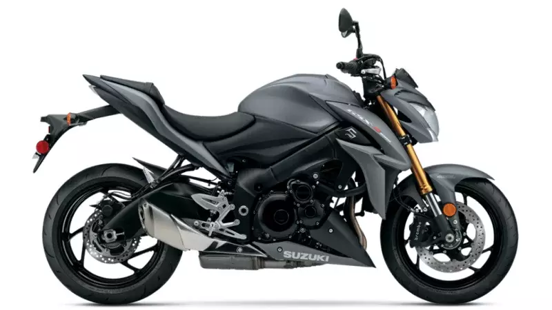 Suzuki GSX-S1000 GSX-S100