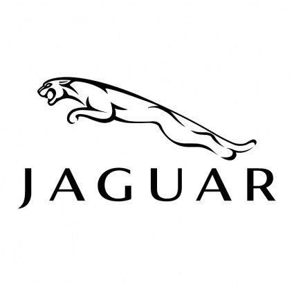 Kode Kesalahan Pabrik Jaguar