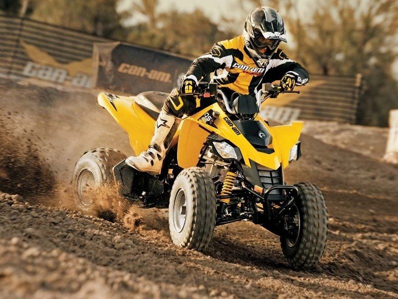 CanAm DS 250 AvtoTachki