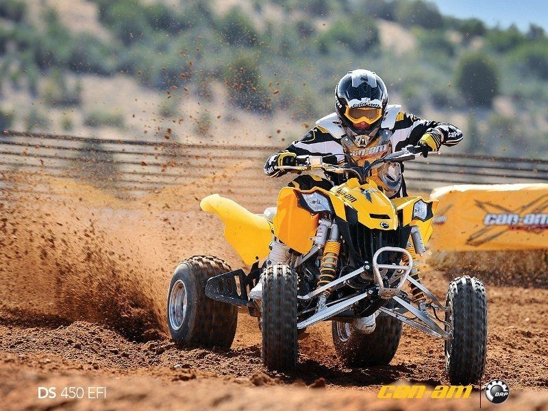 Can-Am DS 450