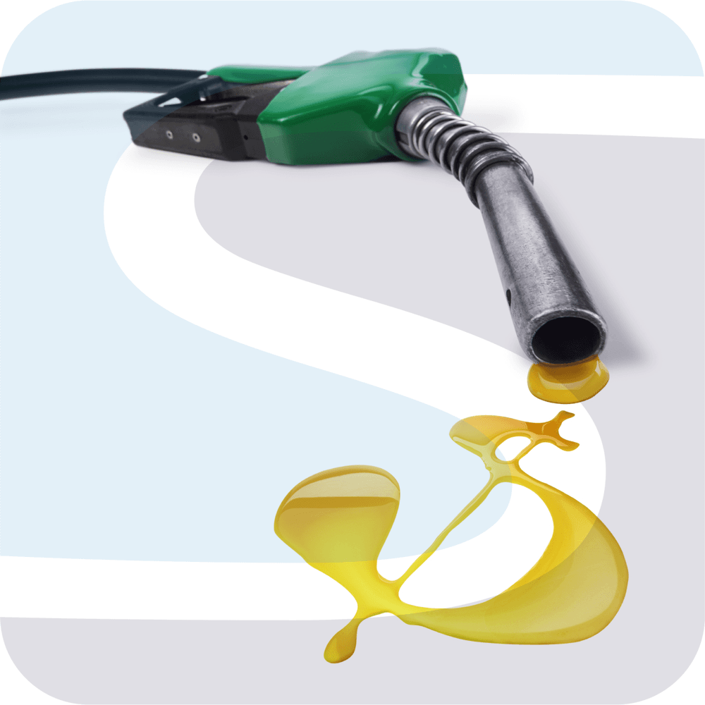 Combustible: todo o que precisa saber