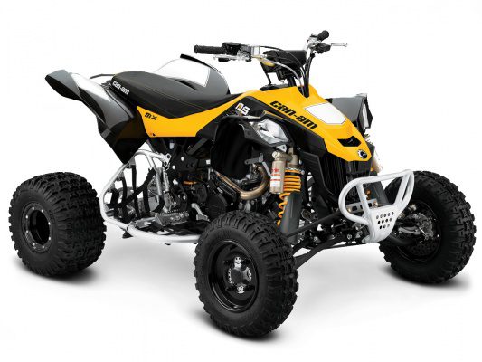 Tlhaloso: BRP DS450