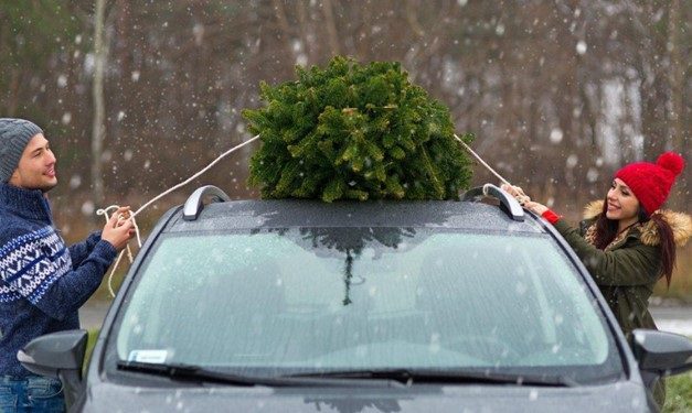 Wie transportiert man einen Weihnachtsbaum mit dem Auto?