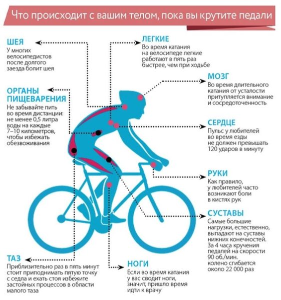 Quae sunt nutritionis supplementa ad montem biking?