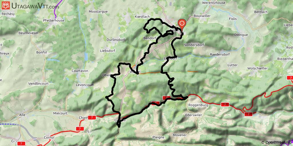 Место для катания на горных велосипедах: 5 маршрутов Сундгау на юге Эльзаса, которые нельзя пропустить