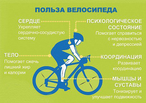 Comprar una bicicleta de muntanya en línia per evitar la trampa: els reflexos adequats