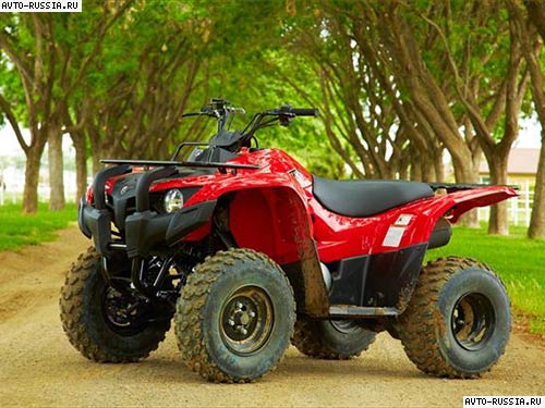 Yamaha Grizzly 300 19 PS