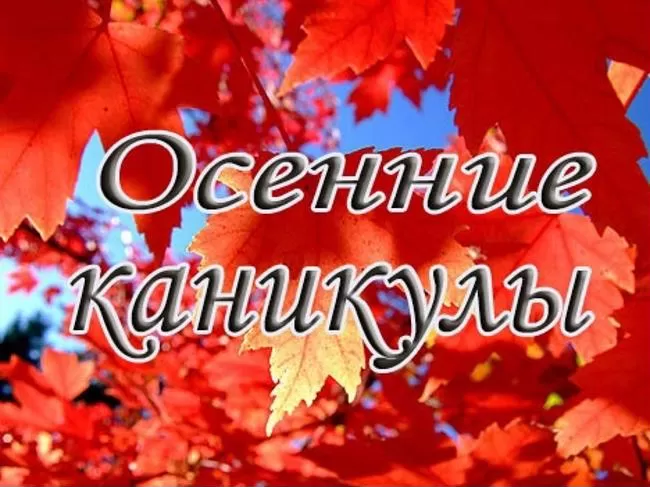 Краткий обзор, описание. Тягач седельный КрАЗ 6446 тип 3 (Т17.0ЕХ)