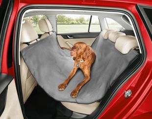 Как безопасно перевозить собаку в машине?