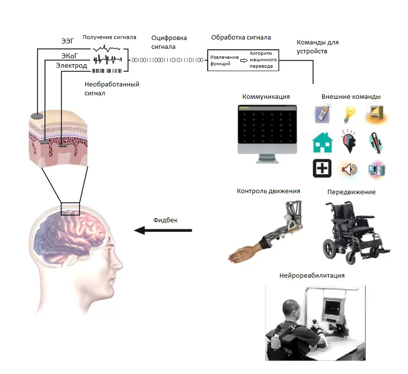 Мен еркектердің әтешін сорамын