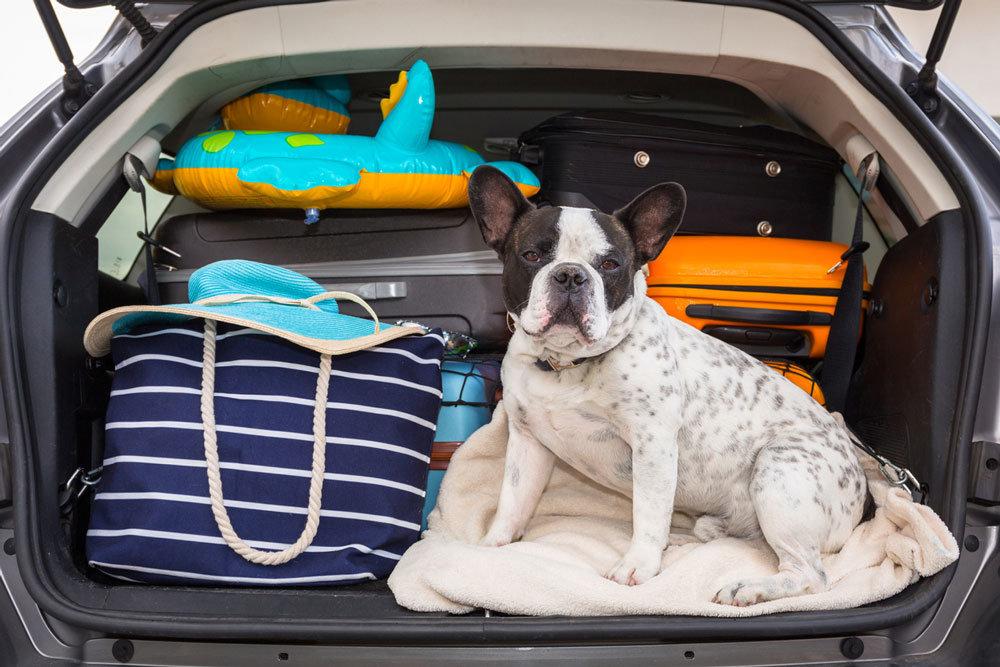 Как положить вещи в багажник?