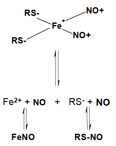 Комплексы железа. Железо+в-комплекс. Динитрозильный комплекс железа. Комплекс с железом формула.
