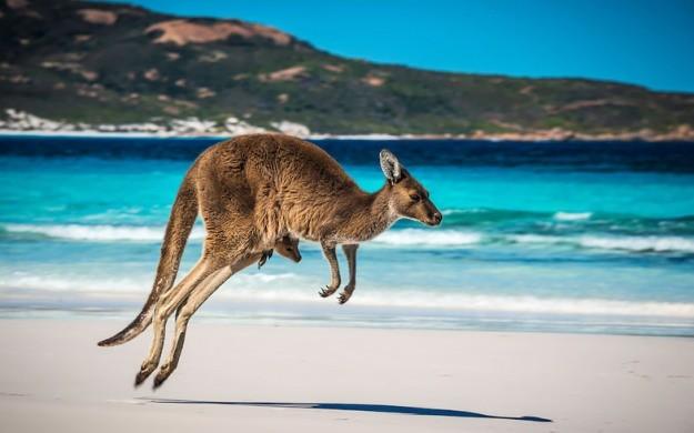 Buggies pantai paling apik sing kasedhiya ing Australia