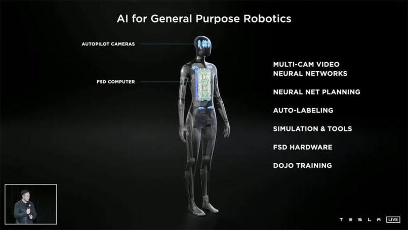 Сможете ли вы одолеть или обогнать нового робота Теслы, если что-то пойдет не так? Технические характеристики Tesla Bot, основанные на той же технологии, что и Model 3 и Model S.