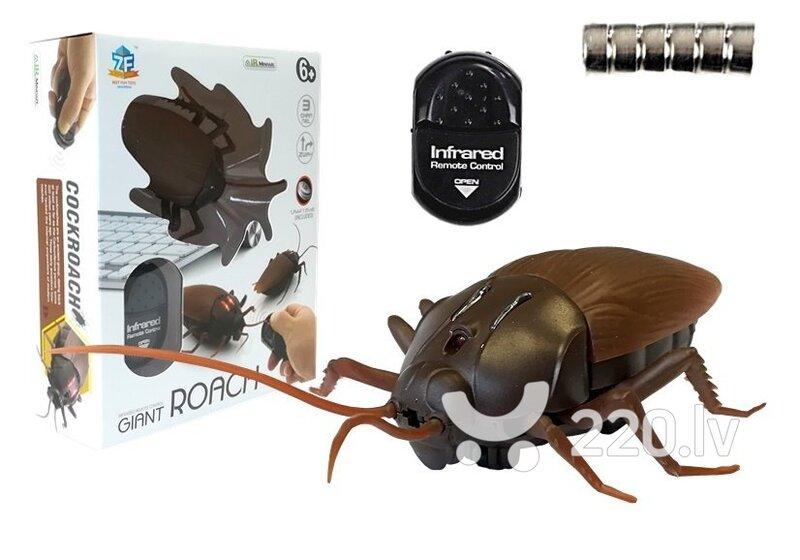 Remote controlled cockroach