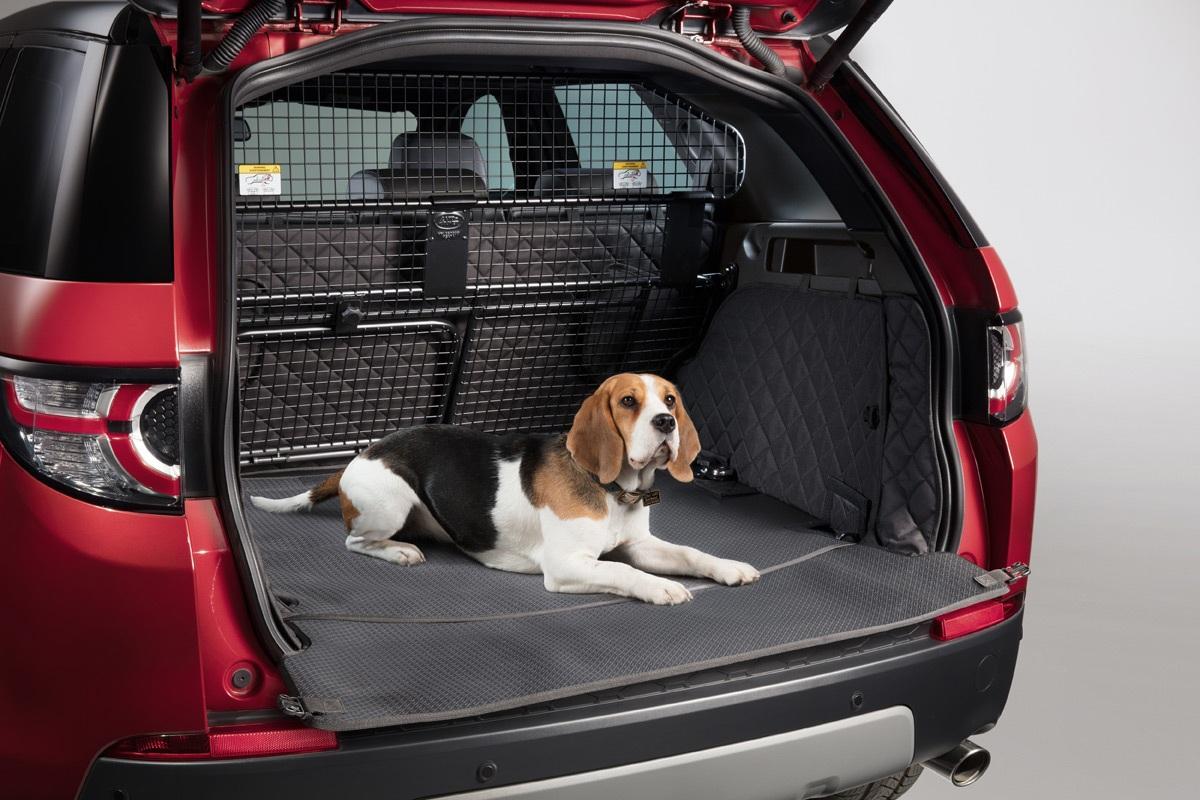 Hogyan válasszunk fedelet kutyák szállításához az autó csomagtartójában