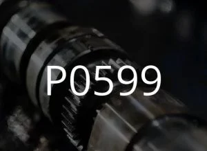 P0599 көйгөй кодунун сүрөттөлүшү.