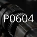 P0604 故障代码的描述。