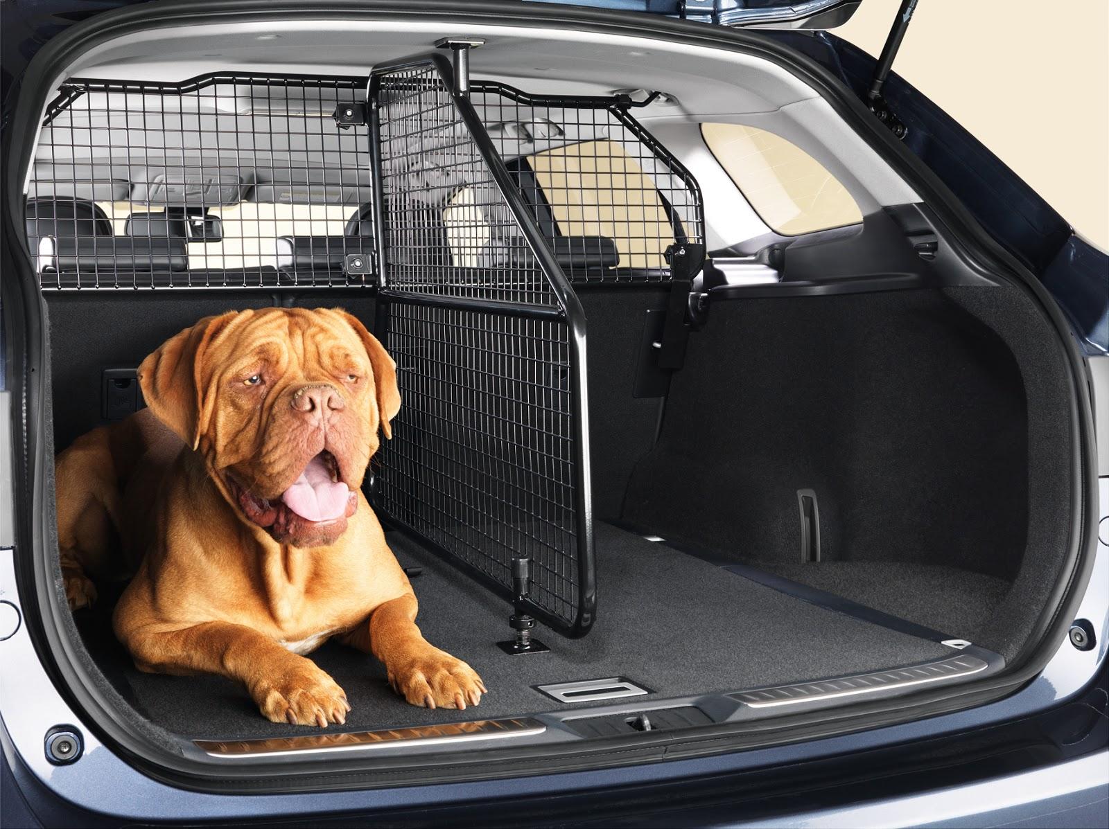 Grid-separator in the trunk of a car for transporting dogs