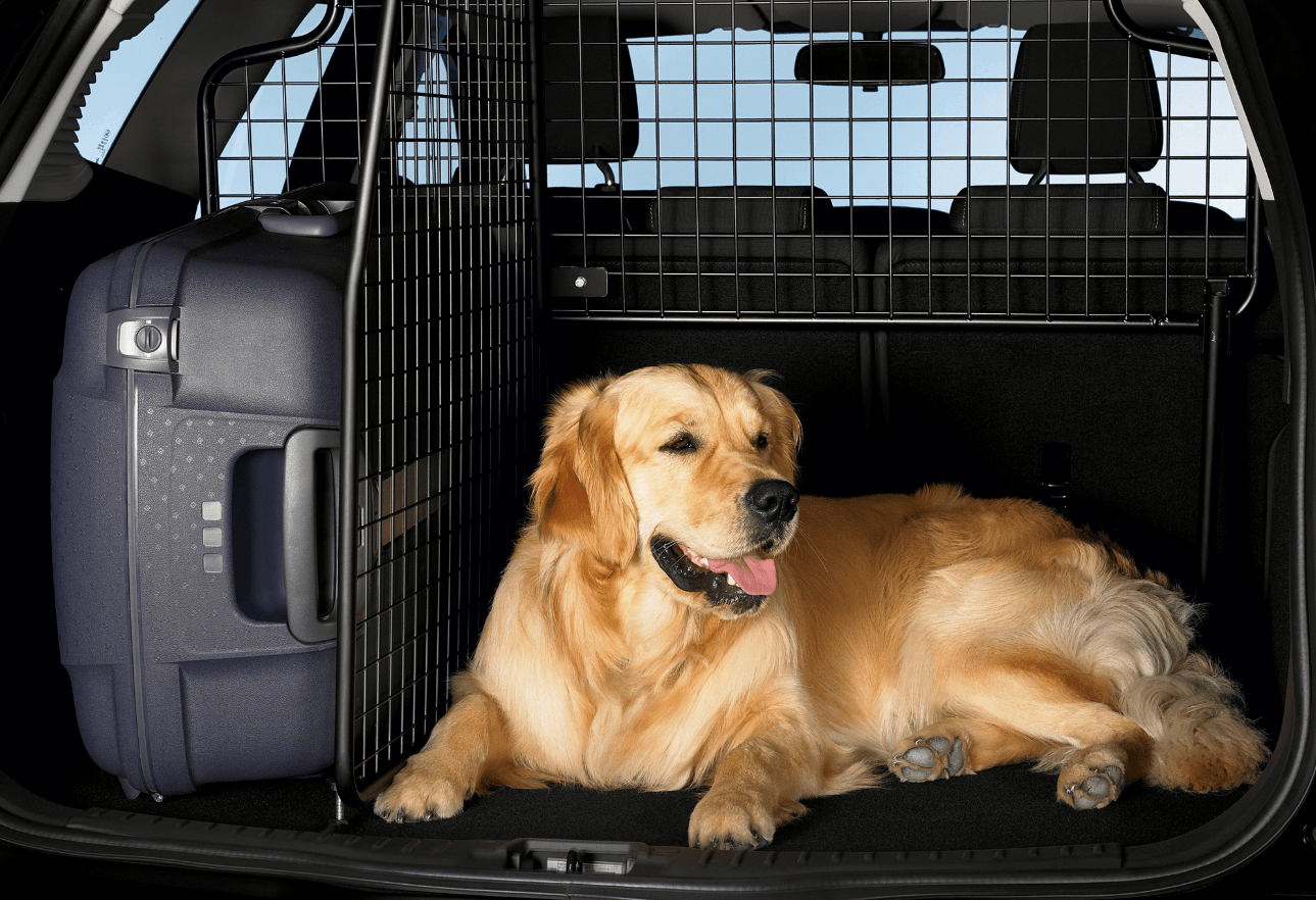 Решетка-разделитель в багажник машины для перевозки собак