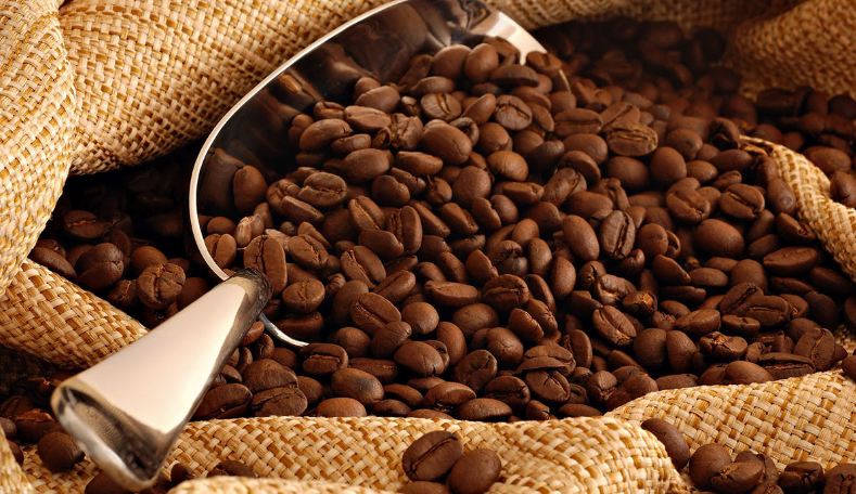 10 крупнейших штатов-производителей кофе в Индии