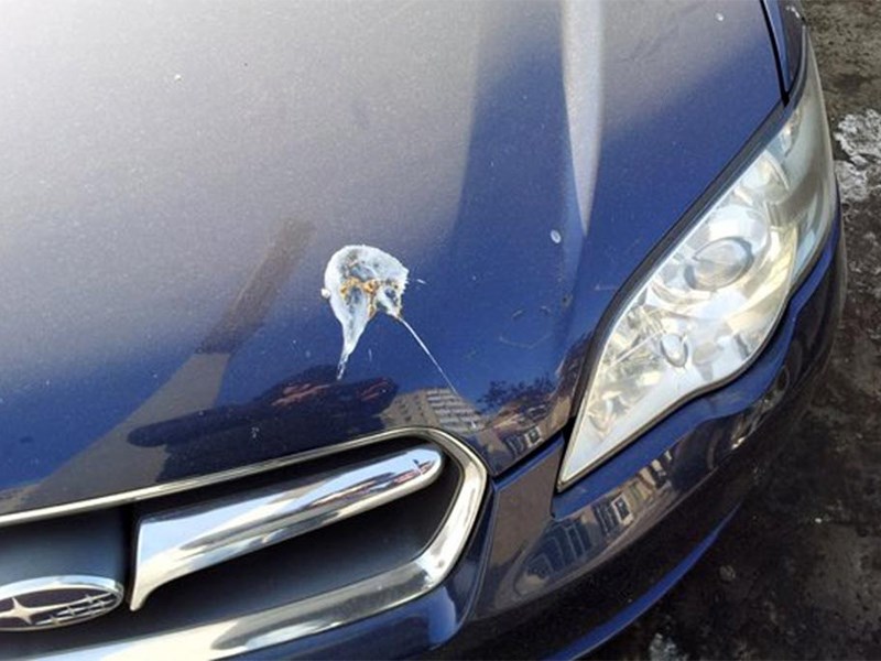 ¿Qué hacer si derramas líquido de frenos sobre la pintura de tu auto?