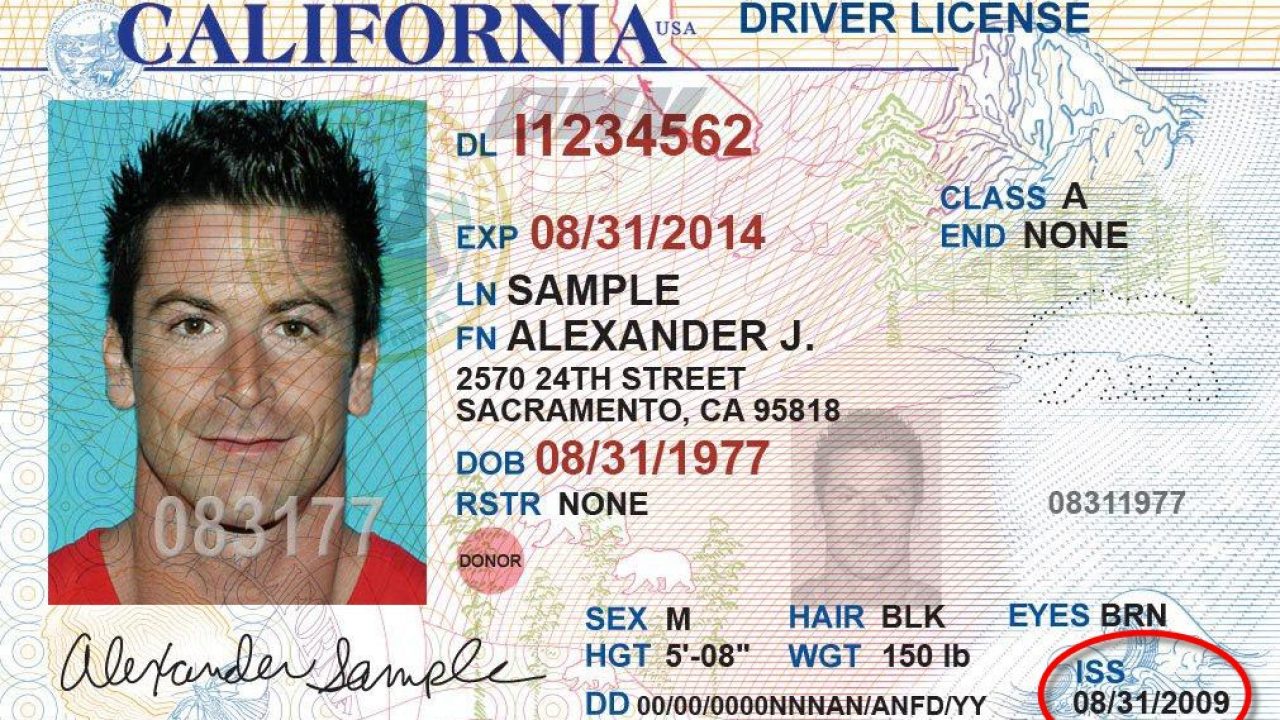 Driver's licenses in Florida: how to request them and what you can find in them