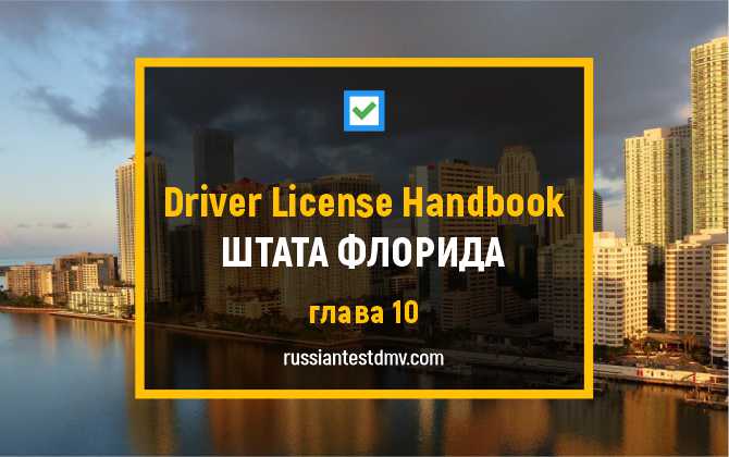 Licencias de conducir en Florida: cómo solicitarlas y qué puedes encontrar en ellas
