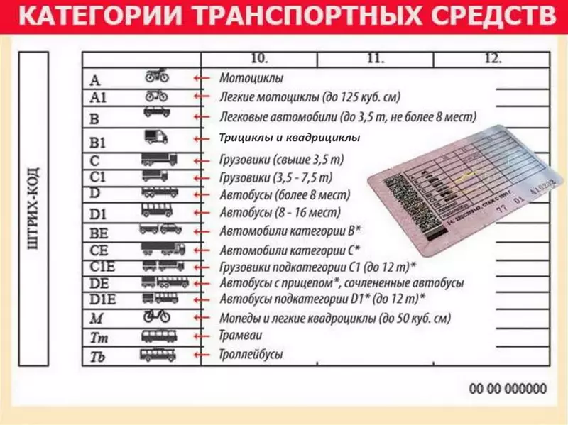 Розшифровка категорій прав водія в Росії