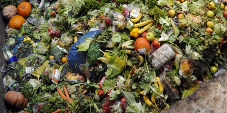 Топ-10 стран с самым высоким уровнем пищевых отходов
