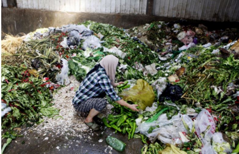 Топ-10 стран с самым высоким уровнем пищевых отходов