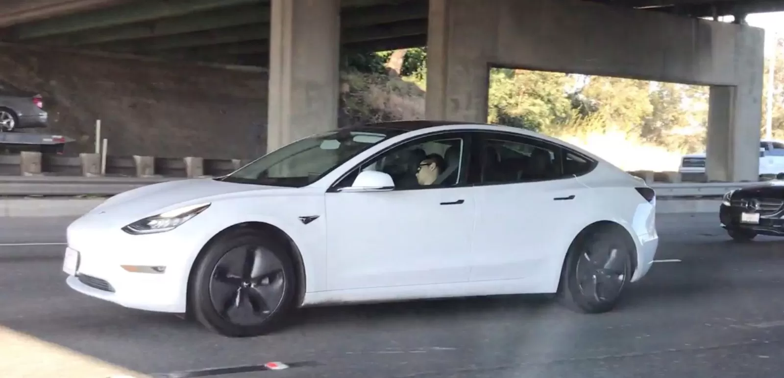 A driver decorates his Tesla Model 3 with Christmas lights and this is what happens to him