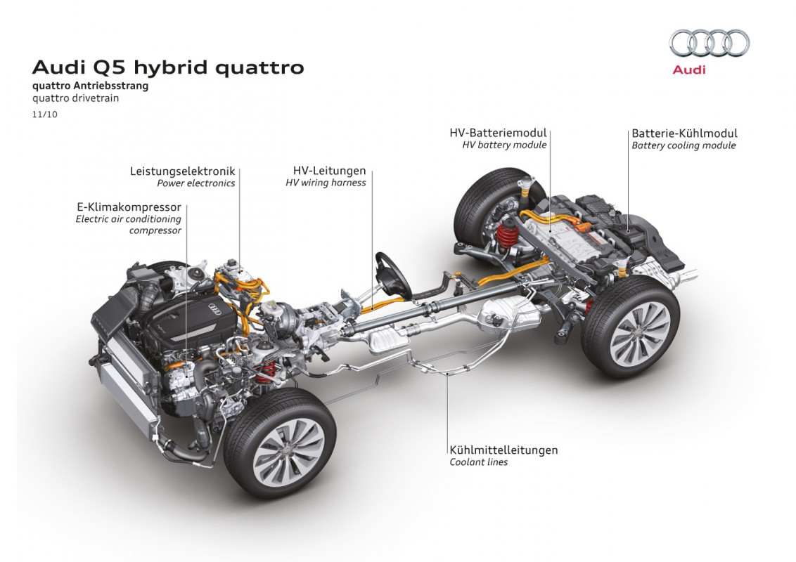 សត្វចម្លែកបរិស្ថាន - Audi Q5 Hybrid quattro