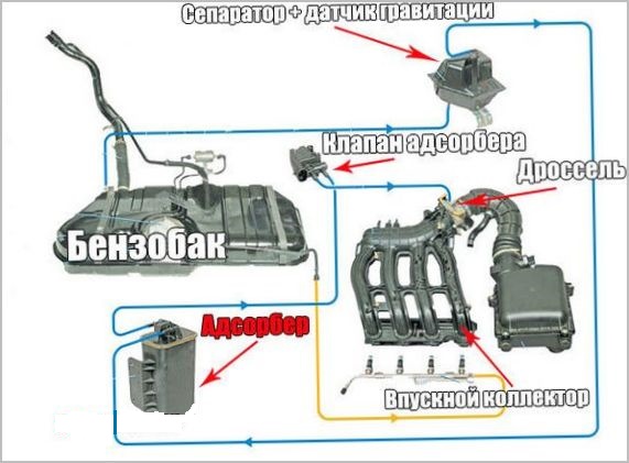 Назначение и принцип работы адсорбера паров бензина