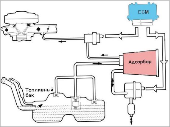 Назначение и принцип работы адсорбера паров бензина