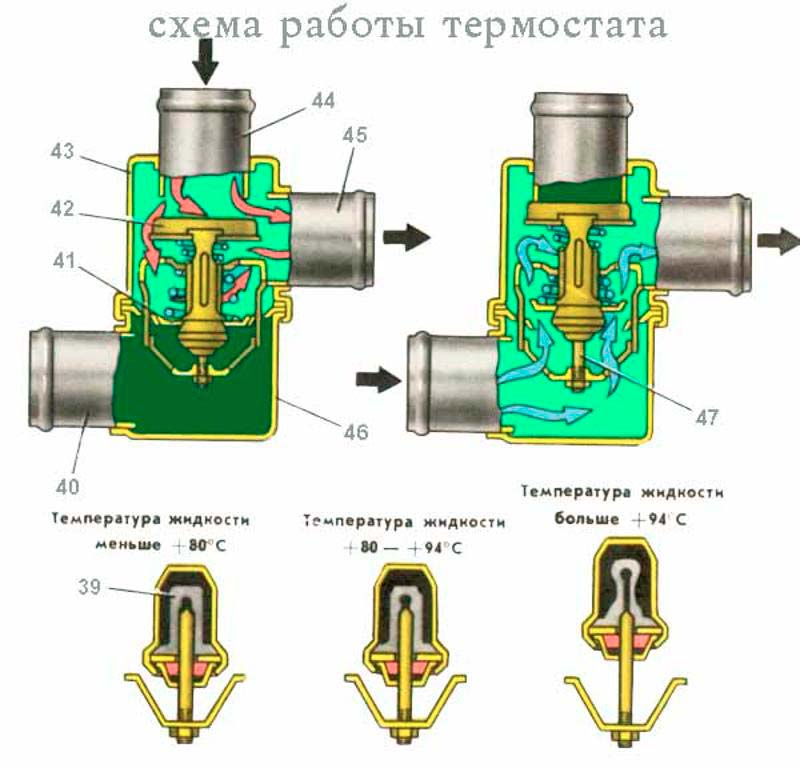 Purpose and principle of operation of the thermostat of the cooling system