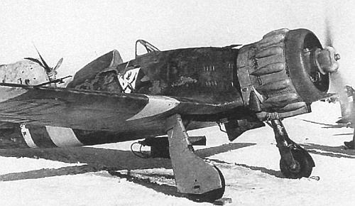 Forgotten Italian squadrons on the Eastern Front