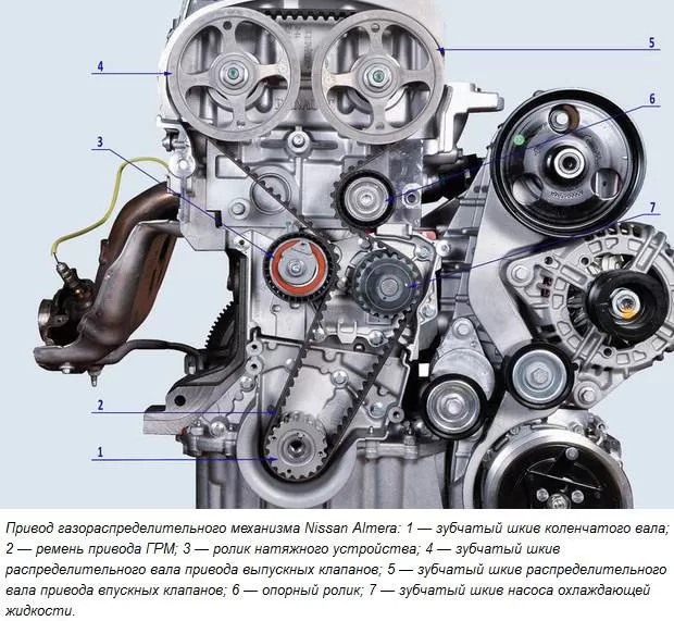 Замена ГРМ Ниссан Альмера