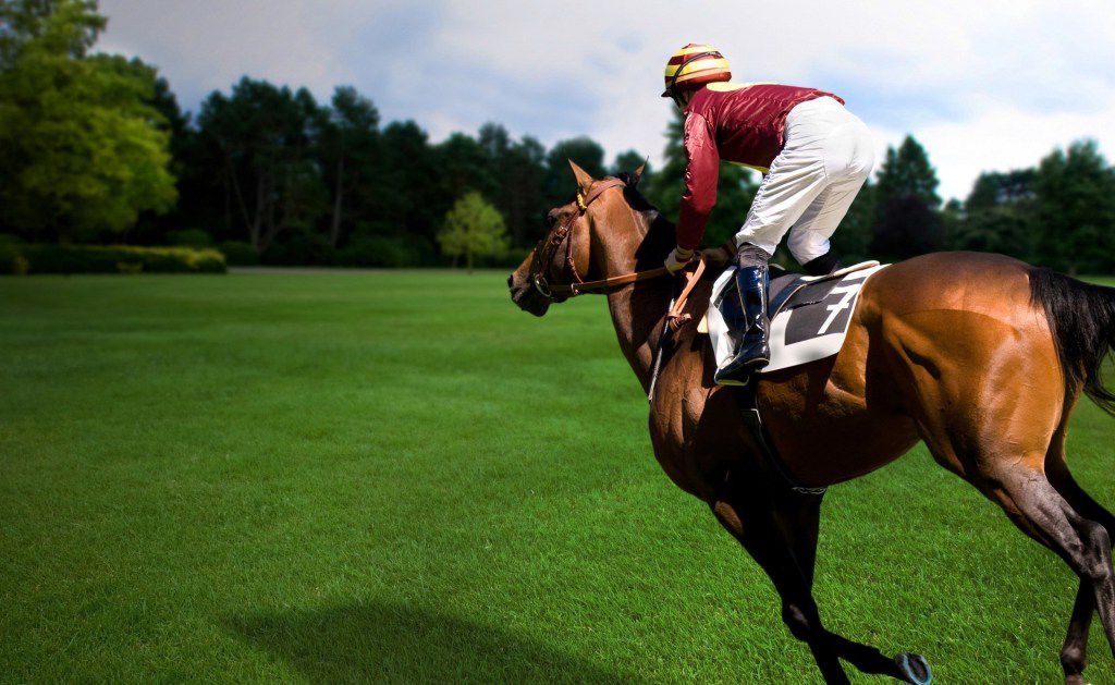 10 причин научиться ездить на лошади