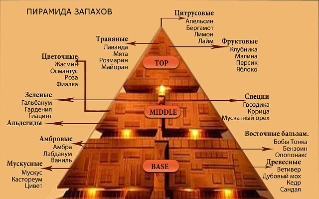 Какое масло для лица лучше всего подойдет для вашего цвета лица?